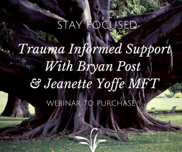 TIS – Video Module 2 – Trauma-Informed Support with Bryan Post & Jeanette Yoffe